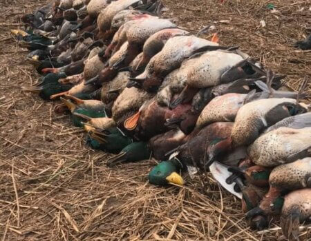 wta_1716_IH25YV_IMG_8678