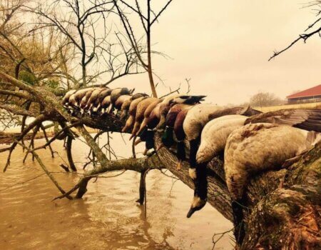 wta_1716_JOWVFH_IMG_8511