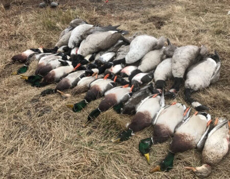 wta_1716_K4GG73_IMG_0648