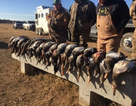 wta_1716_LNKDQX_IMG_8590