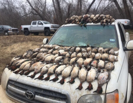 wta_1716_R9QLJB_IMG_8621