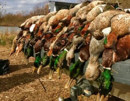 wta_1716_X0TQ5T_IMG_8696