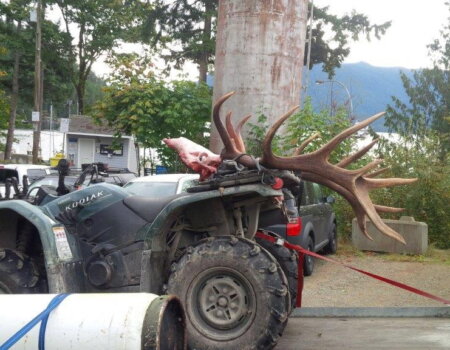 wta_1717_2708318072754716664