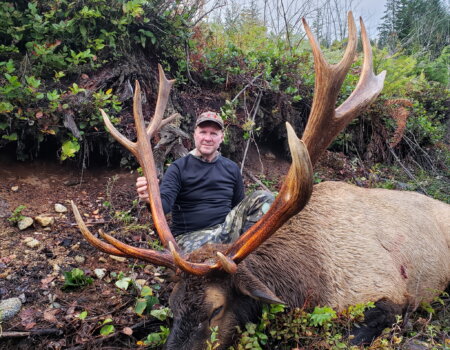 wta_1717_3165004493282103830