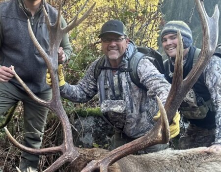 wta_1717_769177388743413680