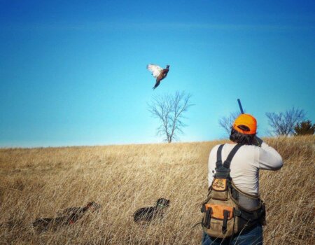 wta_1721_A9539P_IMG_1327