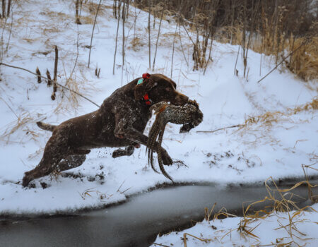 wta_1721_Benelli.Raetz.2021.37 (1)