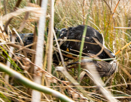 wta_1721_BrianGrossenbacher-3062