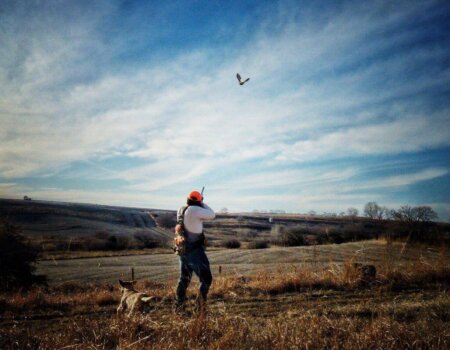 wta_1721_TTIFHH_IMG_1350