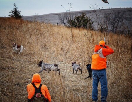 wta_1721_ZS18Z0_PheasantBonanza46