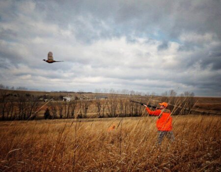 wta_1721__featured_5GN7F9_IMG_1606