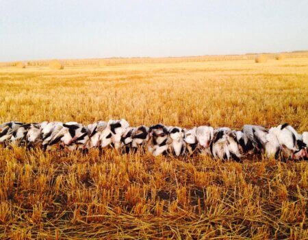 wta_1727_09HP2R_IMG_4132