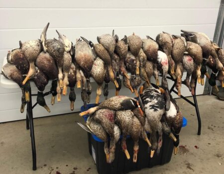 wta_1727_EV30TD_IMG_5928