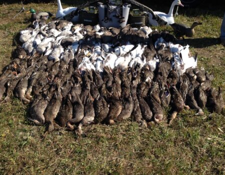 wta_1727_KLJSY5_IMG_0607