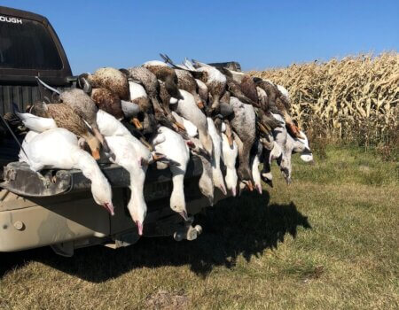 wta_1727_KPURTH_IMG_5903