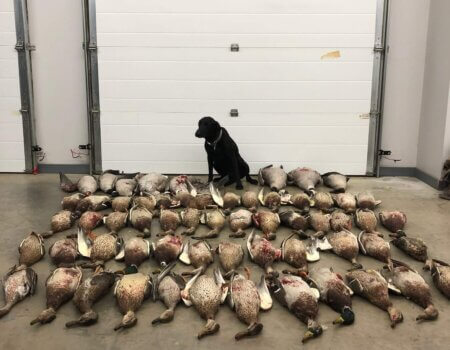 wta_1727_S0G1OM_IMG_5874