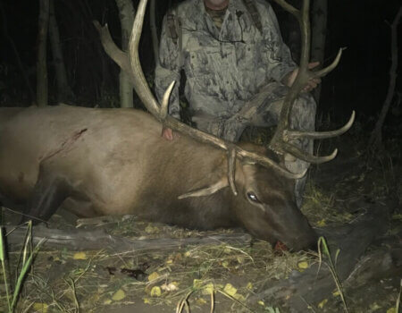 wta_1731_1OYE7G_imagejpeg_0(3)