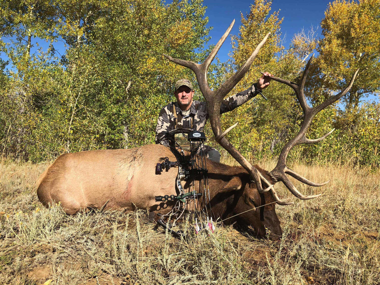 Trophy Archery Bull Elk In Southern Wyoming General Tag