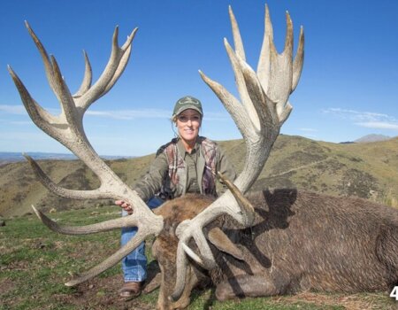 wta_1734_FUOUA4_RedStag7