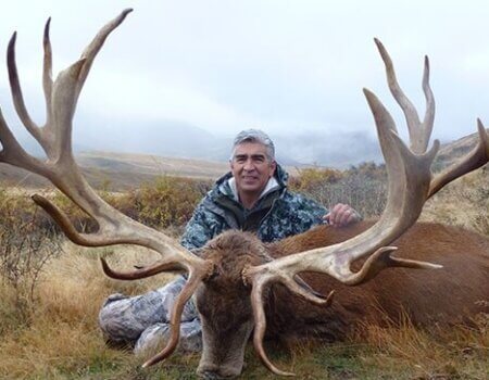 wta_1734_J4W2TS_RedStag4