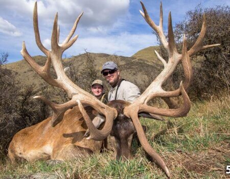 wta_1734_KWB004_RedStag5