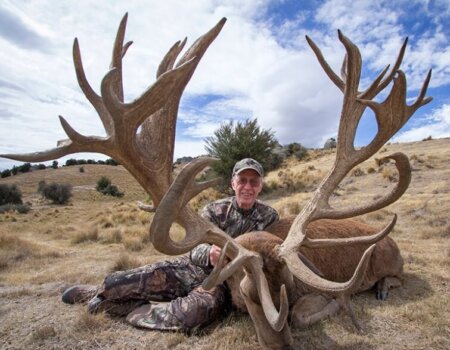 wta_1734_LFAV9M_RedStag6