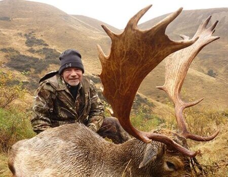 wta_1734_RWMUWS_FallowDeer4