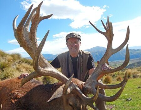 wta_1735_B3T0CN_RedStag