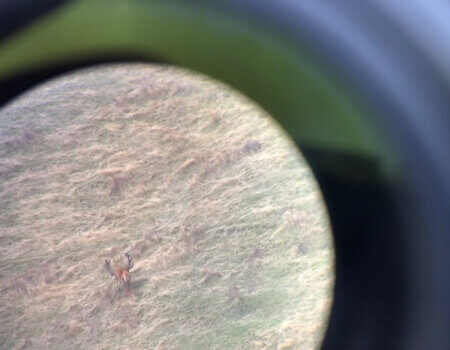 wta_1735_PSWE0W_IMG_4499