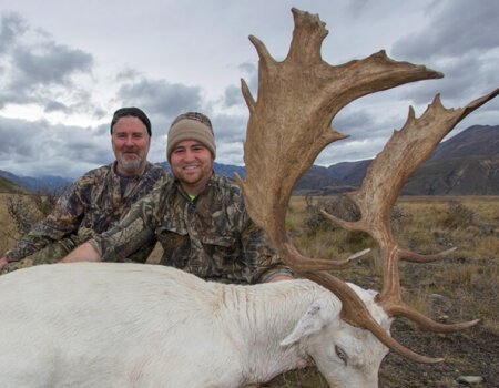 wta_1735_RJ1A19_FallowDeer1