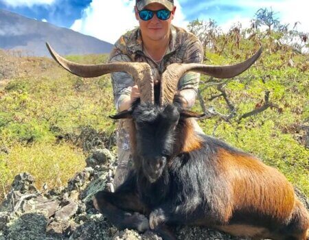 wta_1736_F0A05N_cache_4105380778