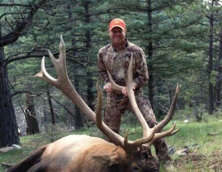 wta_1743_RSGO53_IMG_4118