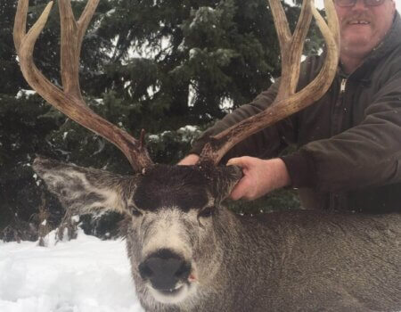 wta_1746_BO587R_IMG_3315