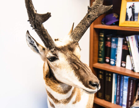 wta_1750_WTA-Jason-Antelope-14