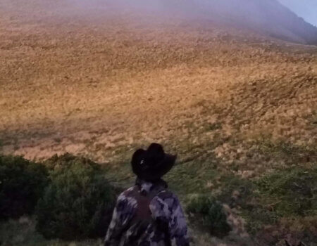 wta_1754_HDNCC5_tyehorseunit36-2019