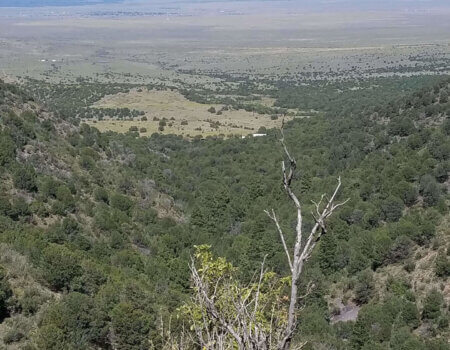 wta_1754_NHZLVK_unit36scenery-2019