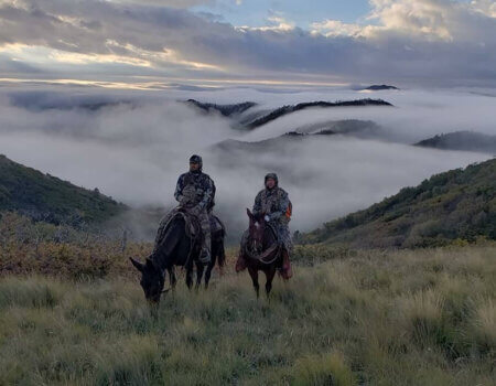 wta_1754_Q2Q1ZN_4-AdamKingK9Outfitters2018Unit36