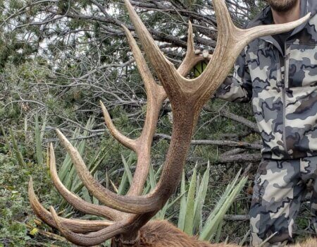 wta_1754_TO44K4_3-AdamKingK9Outfitters2018Unit36