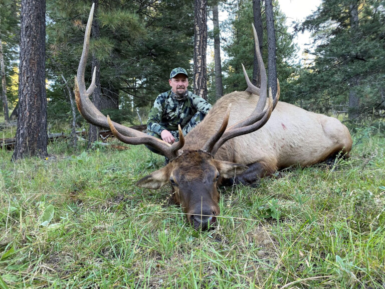 Units 34 & 36 New Mexico Elk Hunts (Includes Unit Wide Voucher)