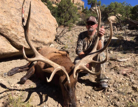 wta_1761_5DWZE3_deadbull3