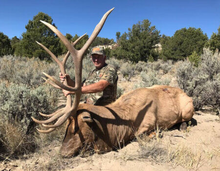 wta_1761_8AT1N3_deadbull6