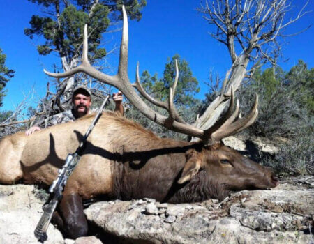 wta_1761_E3MZ22_deadbull1