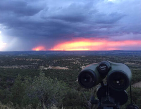 wta_1761_EQ6H2Y_Scenery1