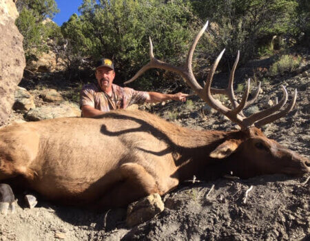 wta_1761_HY9DWH_deadbull4