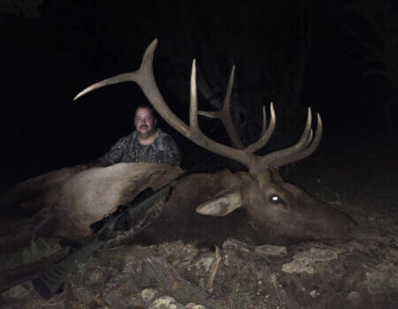 wta_1761_RSL5FA_deadbull2