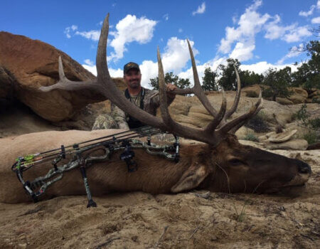 wta_1761_S64NED_deadbull9