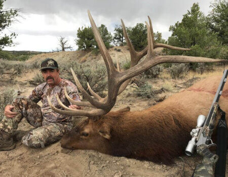 wta_1761__featured_LCMI5A_deadbull8