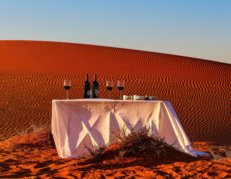 wta_1766_28D08P_chapungu-south-africa-kalahari-oryx-17