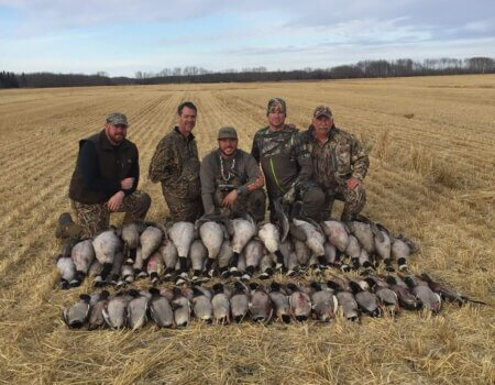 wta_1768_7SVF72_IMG_1620