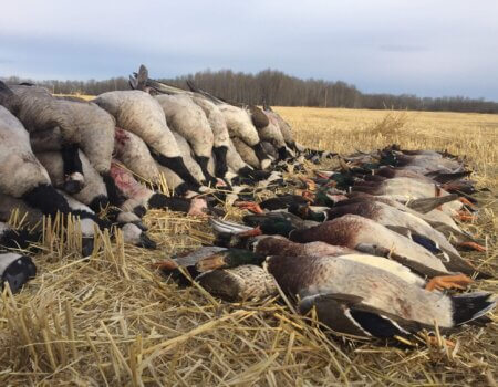 wta_1768_FGKLM9_IMG_1615